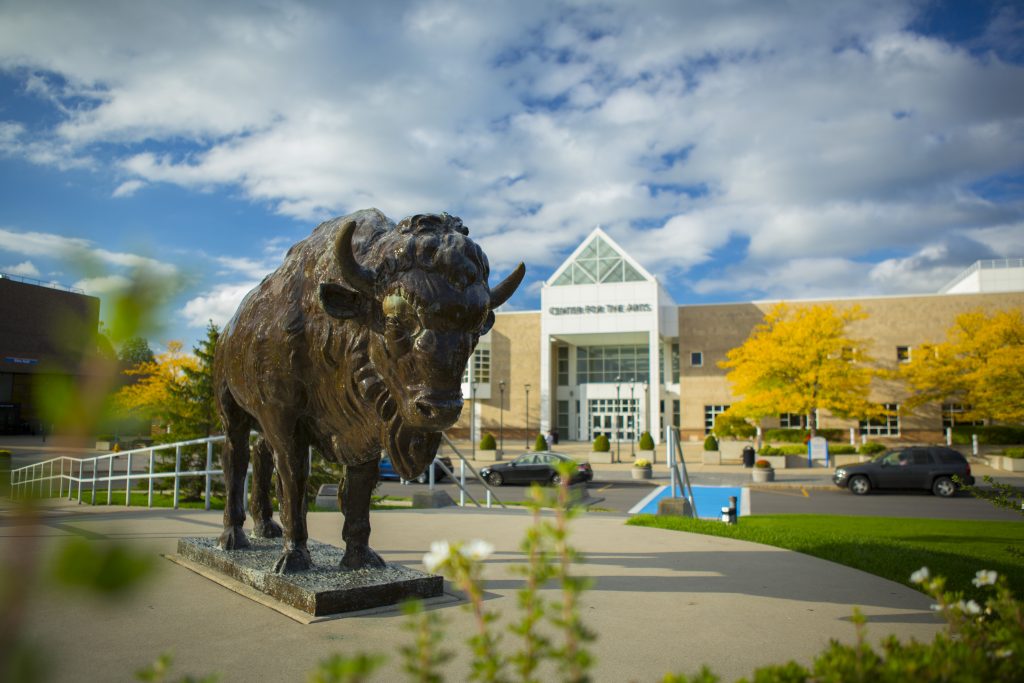 UB Bull and the Center for the Arts